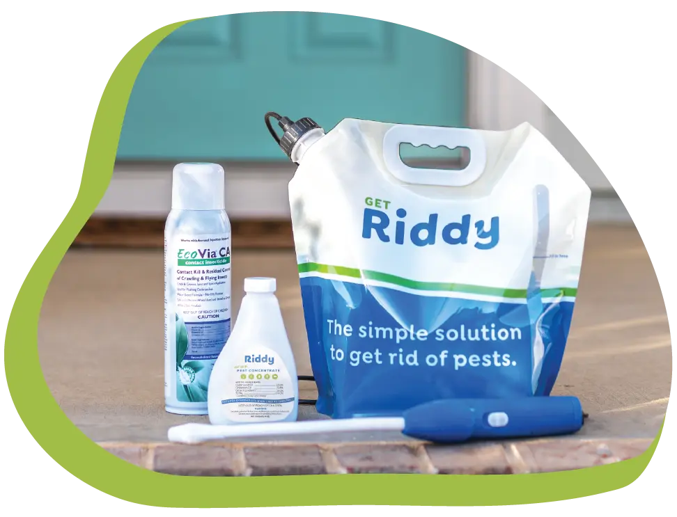 Riddy Pest Green | DIY Pest Control Subscription Kit