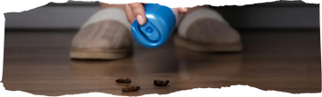 DIY Pest Control - What Works and What Doesn't - Featured Image