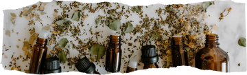 What Smells Do Bugs Hate - 12 Scents to Keep Pests Away Naturally
