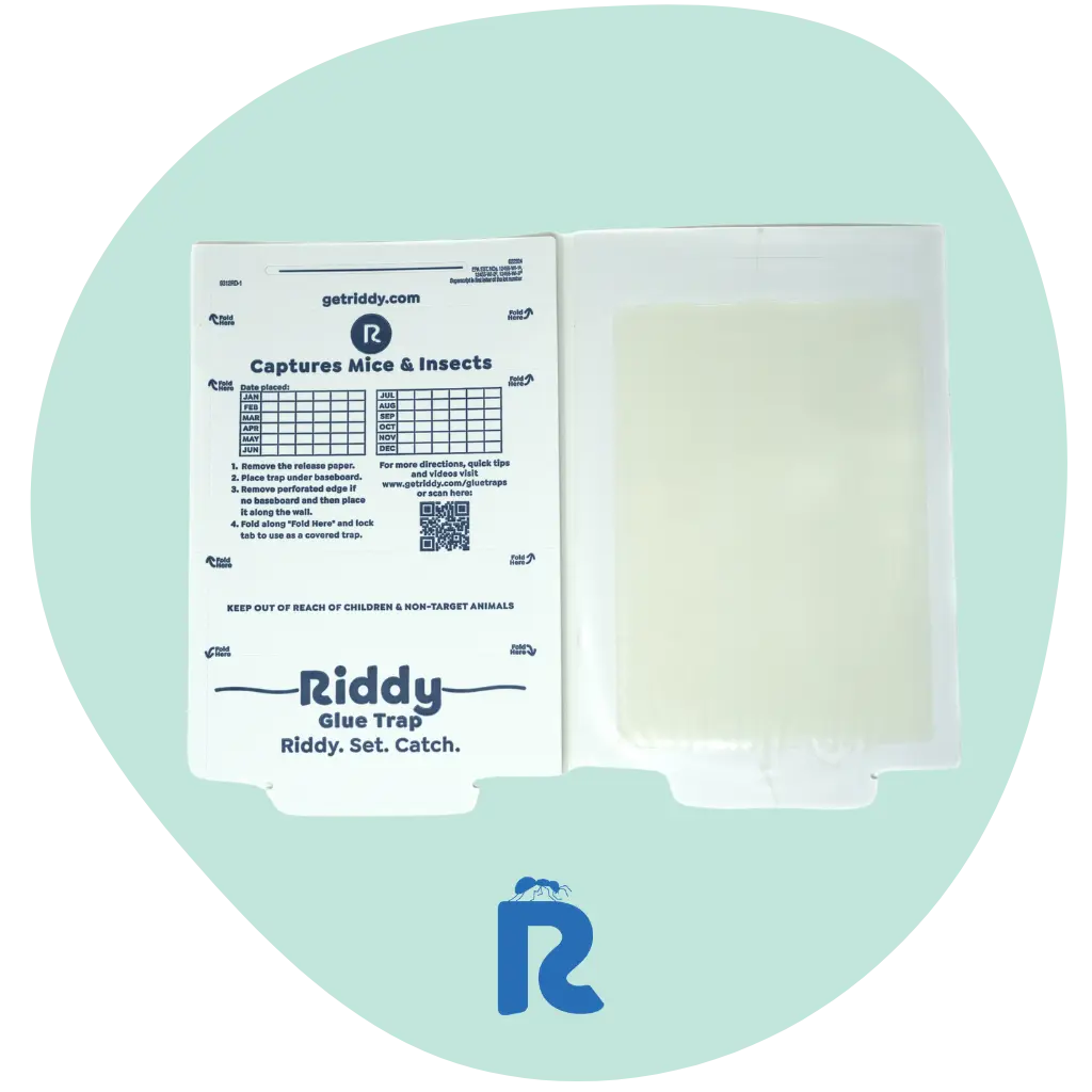 Riddy Insect & Mouse Glue Boards (Scented)