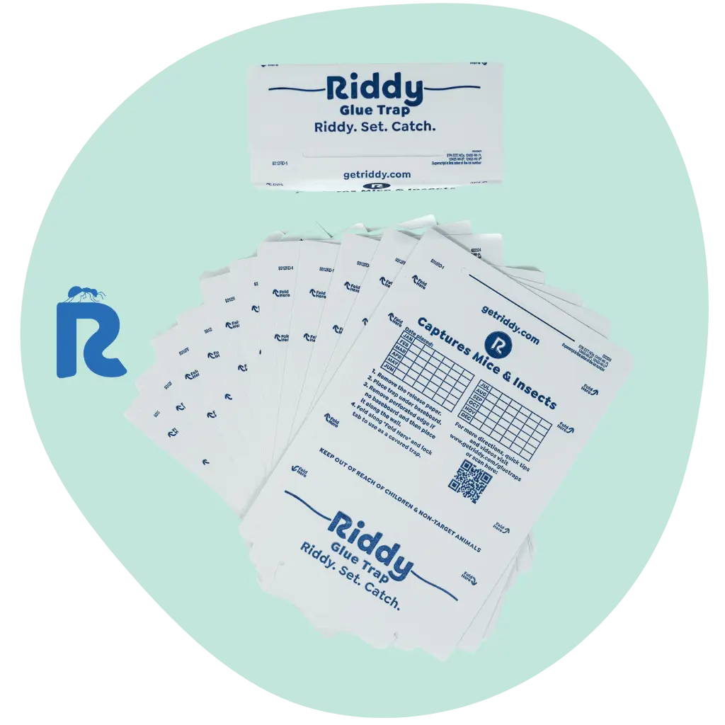 Riddy Mouse Glue Board Giveaway (Scented) - 3 Pack