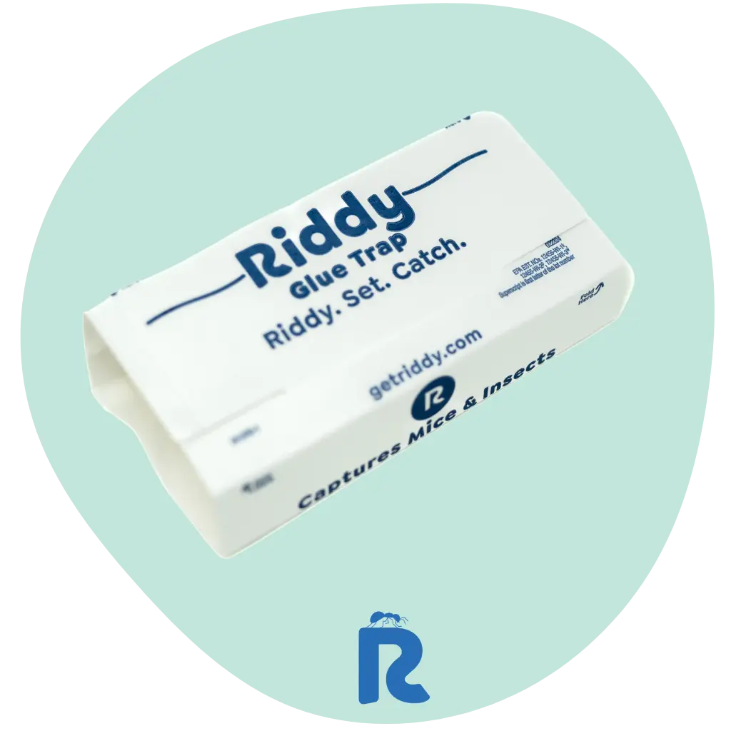 Riddy Insect & Mouse Glue Board (Scented) - 3 Pack