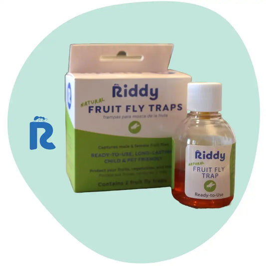 Riddy DIY Fruit Fly Traps