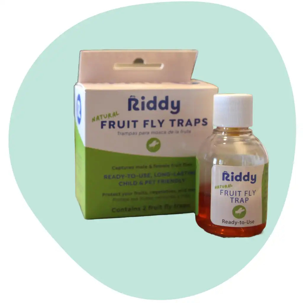 Riddy DIY Fruit Fly Traps