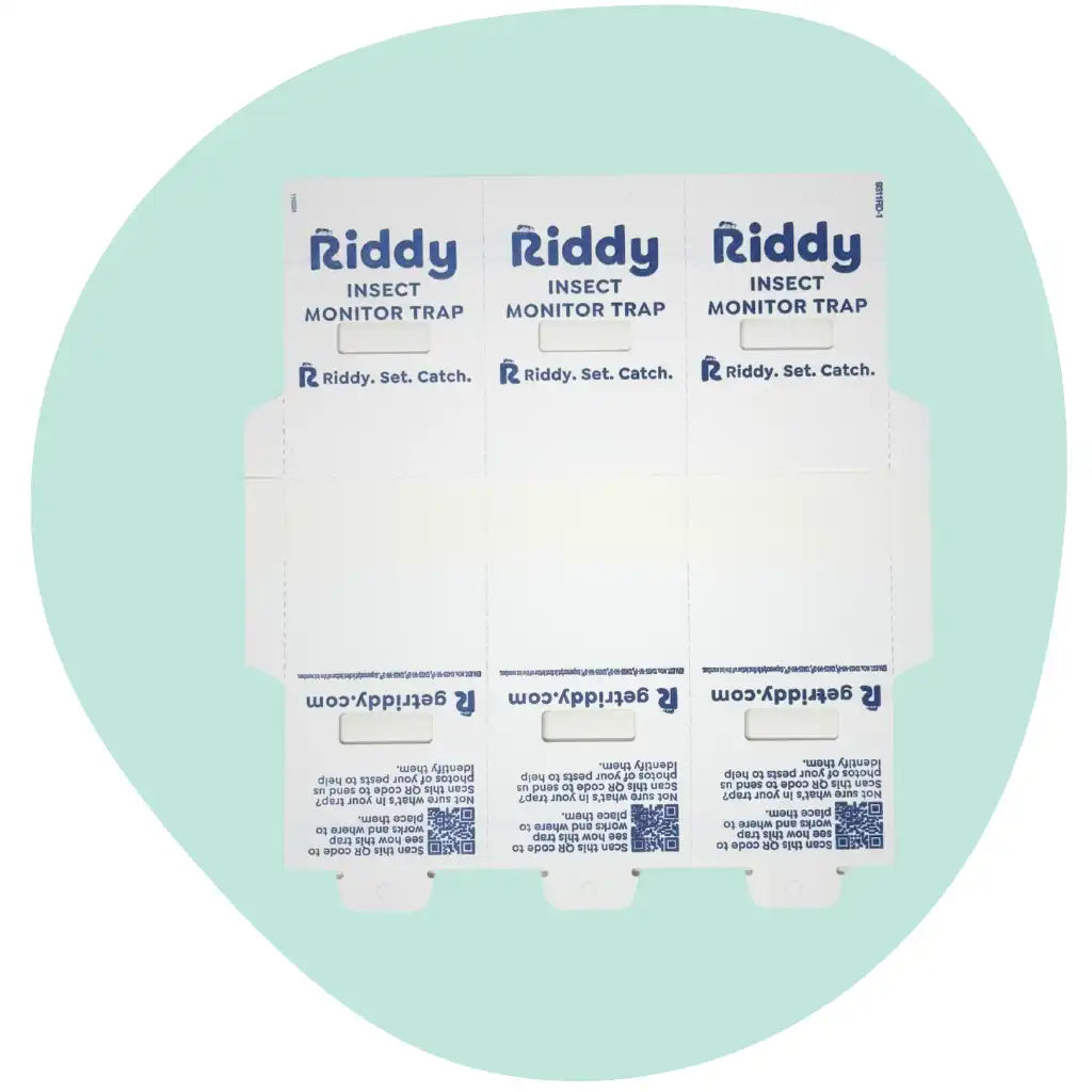 Riddy Insect Monitor Trap - 2Pack
