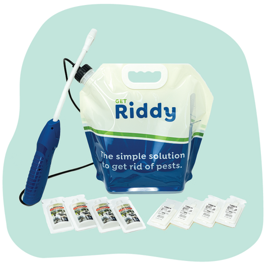 Riddy Mosquito Kit