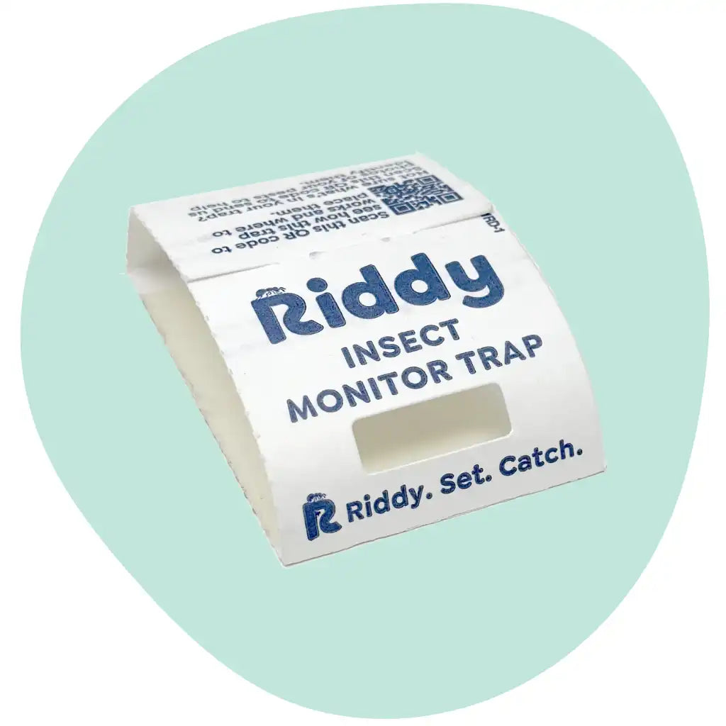 Riddy Insect Monitor Trap - 2Pack
