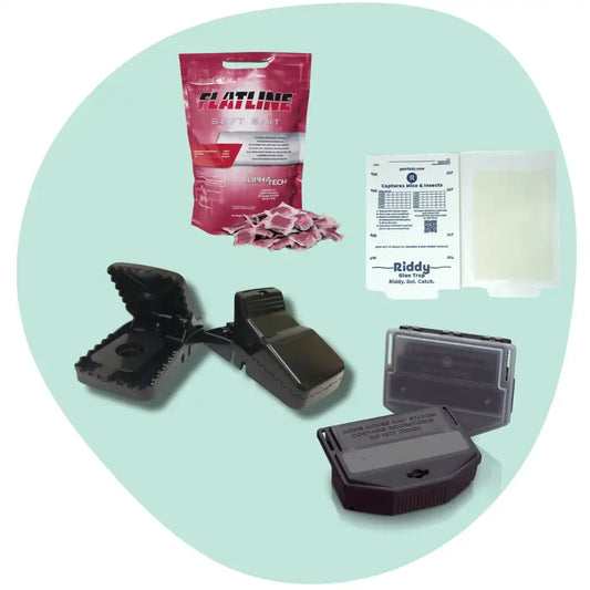 Riddy Mouse Kit