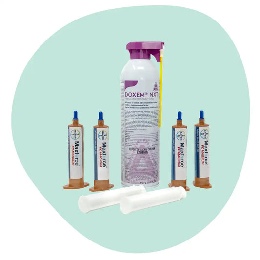 German Roach Killer Combo Kit