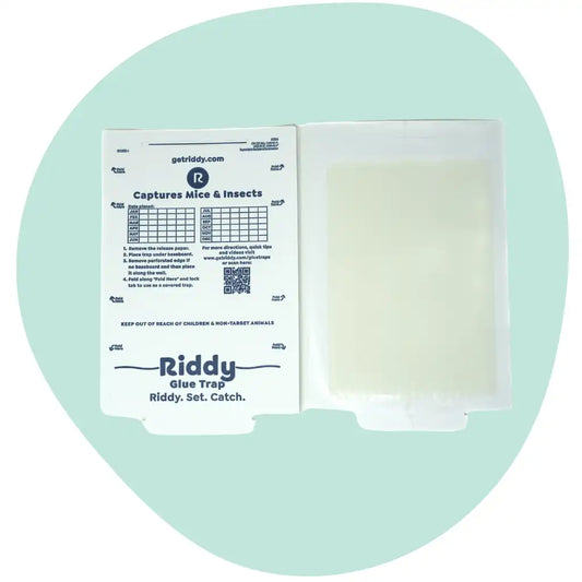 Riddy Insect & Mouse Glue Boards (Scented)