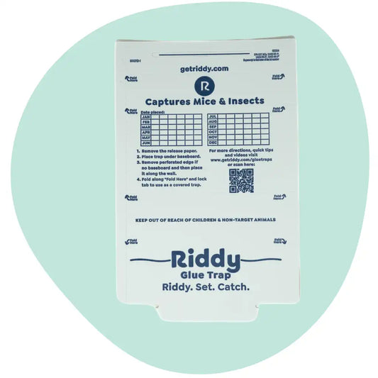 Riddy Insect & Mouse Glue Boards (Scented)