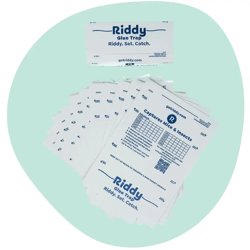 Riddy Insect & Mouse Glue Boards (Scented)