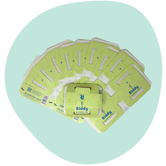 Riddy Silverfish Traps