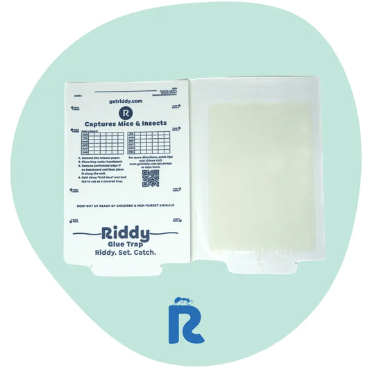 Riddy Insect & Mouse Glue Boards (Scented)