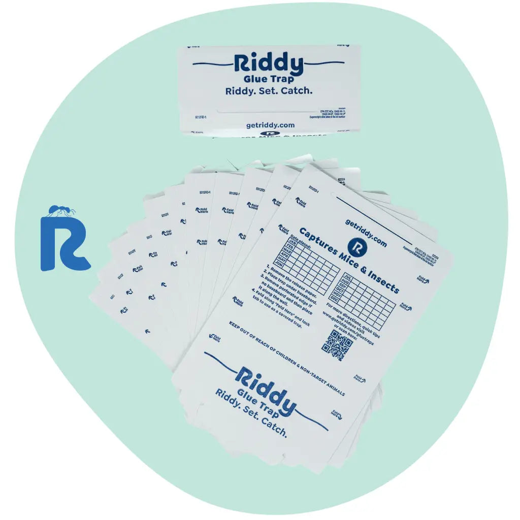 Riddy Insect & Mouse Glue Boards (Scented)