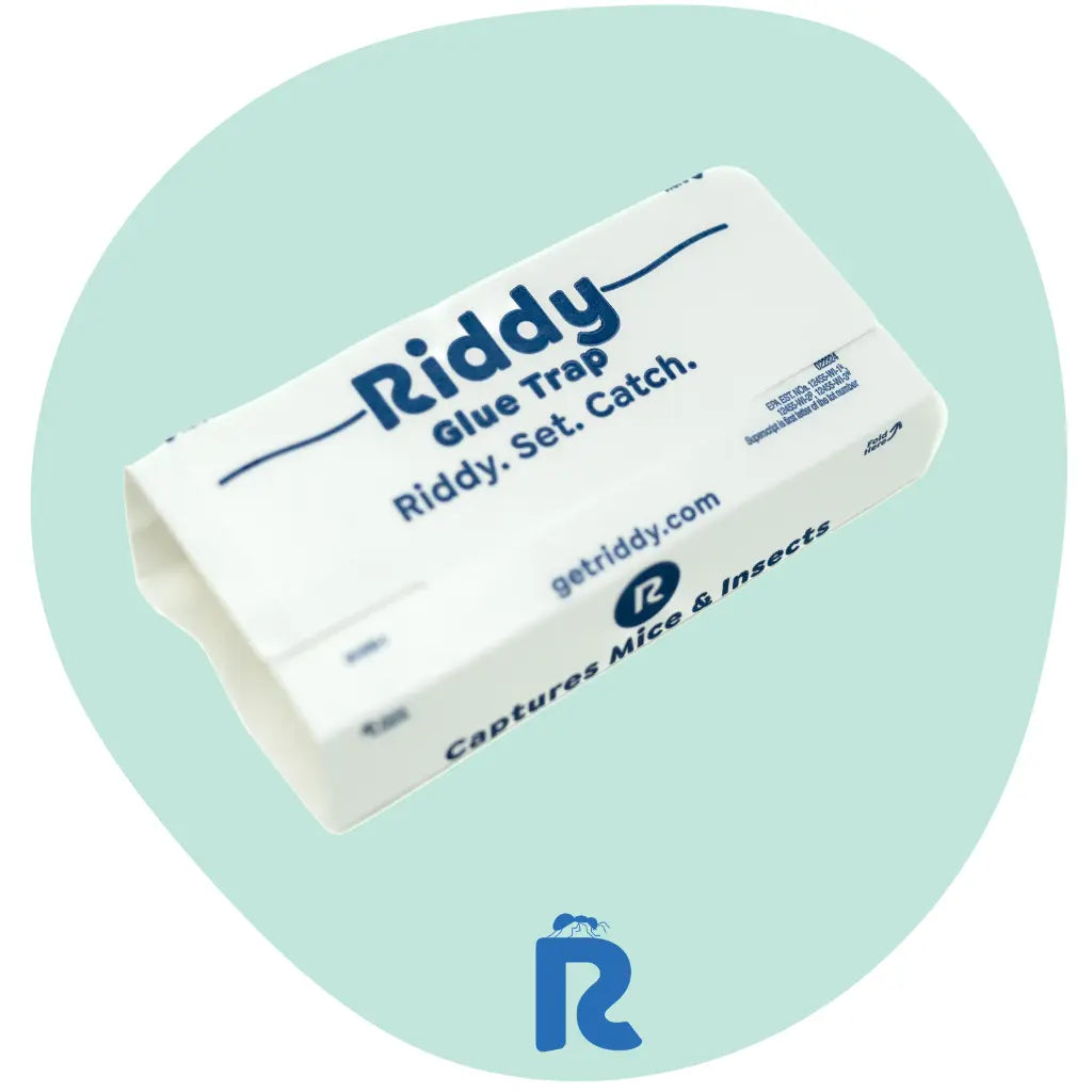 Riddy Insect & Mouse Glue Boards (Scented)