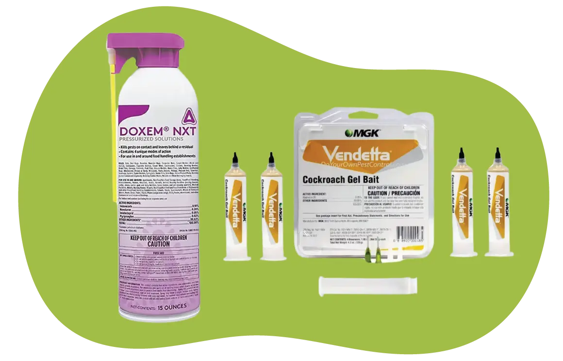 Riddy Roach Kit | DIY Pest Control solutions